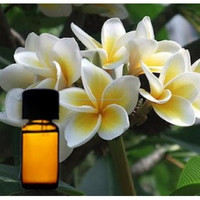 Minyak absolut kembang Sedap (Polianthes clemosa) 100% minyak esensial kembang sedap malam murni kualitas Premium harga grosir kelas atas