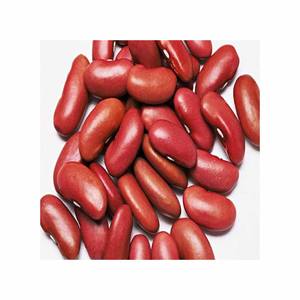 Frijoles Pintos Frijoles etíopes secos de forma larga Nueva cosecha - Product Image 3
