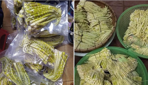 Bambú Shoot Tips embalaje Lata/Lata... tamaño Pequeño/Mediano/Grande 15-20 piezas/250gr exportación EE. UU., Japón... - Product Image 2