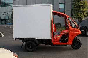 <b>Trike</b> <b>Motorcycle</b> 3 Wheel <b>Motorcycle</b> Motorized Tricycles <b>for</b> <b>Sale</b> - Product Image 5