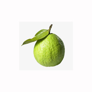 Guayaba Fresca de Granja, Fruta Aromática Madura de Primera Calidad, Dulce y Tropical, Producto de Exportación al por Mayor - Product Image 2