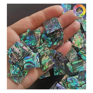 Concha de abulón natural redonda doble moneda plana rebanada cuentas de piedras preciosas colgante pequeño para la fabricación de joyas 10mm 14mm 15mm 18mm 20mm - Product Image 1