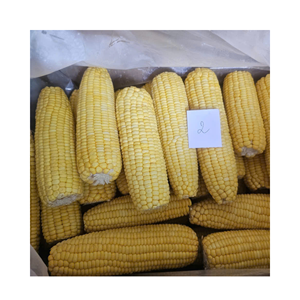 Noyaux de maïs surgelés de qualité supérieure IQF, idéaux pour les mélanges de légumes et les tartes salées, d'origine vietnamienne offrant une taille et une texture uniformes - Product Image 6