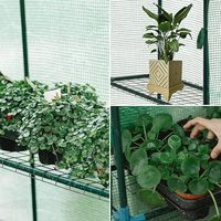 Serres de plain-pied avec la maison verte en plastique extérieure de jardin de couverture durable de PE