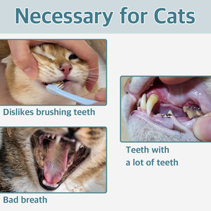 Bằng cách bổ sung sức khỏe răng miệng kem đánh răng dạng lỏng cho mảng bám cao răng và chăm sóc hơi thở hôi dễ dàng sử dụng bổ sung chăm sóc sức khỏe thú cưng - Product Image 4