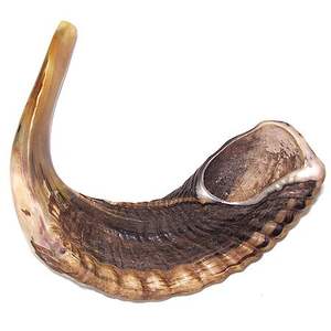 Shofar en corne de bélier naturelle de qualité supérieure, poli, instrument religieux juif, inspiré des artisans royaux, style animal, fabrication européenne sur mesure - Product Image 2