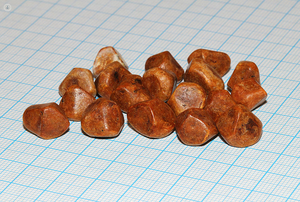 100% calculs biliaires organiques de boeuf cueillis à la main à partir de bovins sains produit d'extrait d'animal en gros - Product Image 4