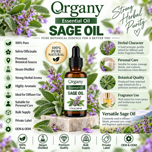 Huile Essentielle de Sauge 100% Pure (Salvia Officinalis) Distillée à la Vapeur, Vente en Gros, Marque Privée, OEM pour Soins Capillaires et du Cuir Chevelu, Déodorant - Product Image 2