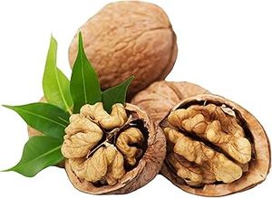 Nueces Frescas Premium de Alta Calidad, Crudas, Duras y Saladas con Cáscara en Bolsa - Suministro a Granel de Fábrica Nutritivo - Product Image 5