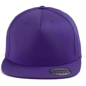 Wholesale Custom Snapback Hats / Various Colors Available Snapback Hat Custom Logo 6 Panel Sports Hat