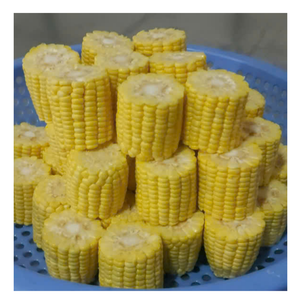 ข้าวโพดแช่แข็งสีเหลืองหวานแบบเวียดนามสำหรับทำอาหารทุกวันข้าวโพดแช่แข็งสำหรับทำขนมเค้กท็อปปิ้งและไอเดียครัวไวรัส - Product Image 3