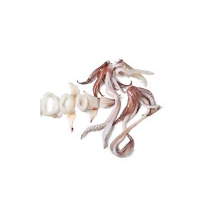 Calamar entero congelado a precio de fábrica, ofrecido para comercio mayorista y pedidos en grandes cantidades - Product Image 5