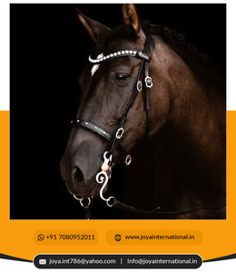 Bride pour cheval Vente à chaud Corde de cheval réglable Halter Durable Equestrian Riding Wear Bridle saisonnier - Product Image 3
