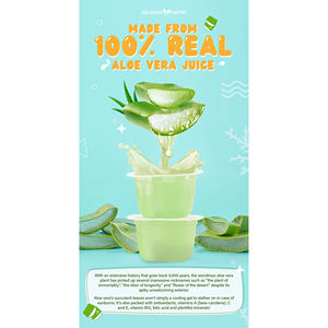 Pudín de Gelatina de Aloe Vera Puro, Nutritivo, de Taiwán, Almacenamiento Refrigerado - Product Image 6