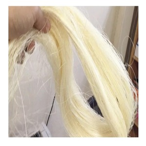 เส้นใยป่านศรนารายณ์สำหรับยิปซั่มขายส่ง - Product Image 1