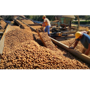 Noix Légères Noyaux Prix Noix Noyaux Biologique Sans Coque - Product Image 1