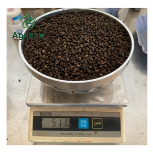 Pimienta negra 500 550 570gl 5mm Sabor picante caliente con excelente calidad y el mejor precio de Vietnam + 84 865216698 - Product Image 1