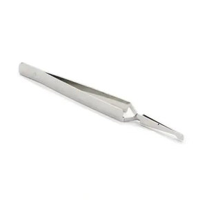 Instrumentos quirúrgicos dentales de ortodoncia, fórceps de puntas dentadas anchas para colocar andamios dentales - Product Image 2