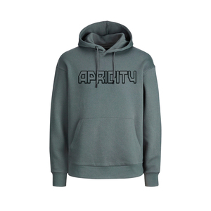 OEM/ODM sudaderas con capucha bordadas en blanco a granel 100% sudaderas de algodón con impresión digital para invierno marca personalizada - Product Image 6