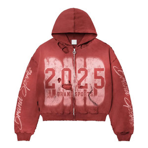 Artículo fresco Diseño único Peso pesado 400gsm Sudadera con capucha unisex Ropa de calle Venta caliente Precio barato Gran personalidad Sudadera con capucha - Product Image 4
