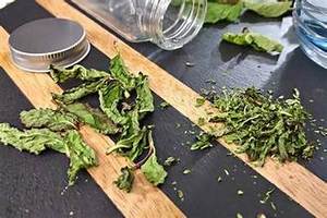 ใบสะระแหน่แห้งสไตล์ออร์แกนิกพร้อมกลิ่นหอมแรงสำหรับเสริมสร้างภูมิคุ้มกันและทำความสะอาดการใช้ชีวิต - Product Image 2