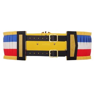 NWA Domed Globe World Heavyweight Championship Ceinture - Product Image 3