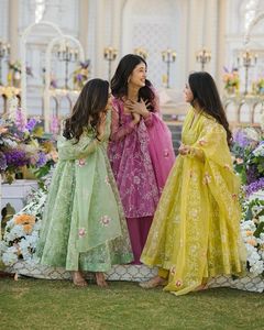 Hermoso vestido de fiesta de seda de organza-Pent con Dupatta - Product Image 1