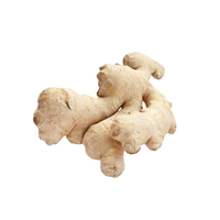 Gingembre-Un aliment polyvalent pour chaque cuisine