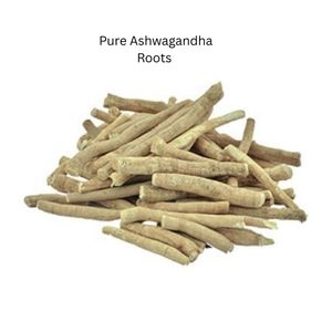 Polvo de Raíz de Ashwagandha Pura, Malla 80, Grado de Exportación, Textura Fina, Procesamiento Limpio - Product Image 1