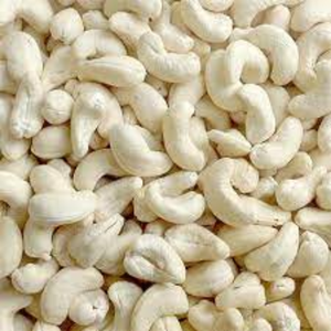 Usine de granola de noix de cajou saine Vietnam noix de cajou exportation en vrac prix usine noix de cajou saine 2023 - Product Image 4