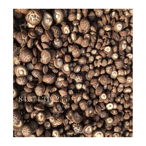 Exportación líder: hongos shiitake secos de alta calidad, frescos y orgánicos de Vietnam. - Product Image 3