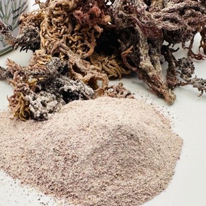 Polvo de musgo de mar dorado puro al por mayor polvo de seamoss natural con buena calidad hecho en Vietnam - Product Image 3