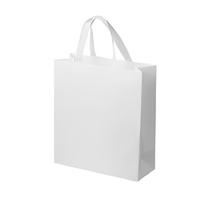 Good Quality Reusable Pp Shopping Bag Non Woven Bag Plastic Bags Available at Affordable Price from India
