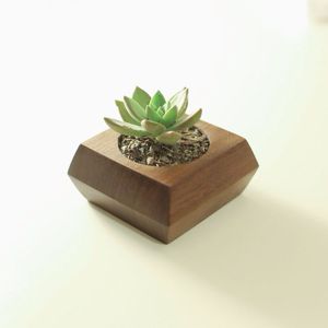 Pot de fleurs en bois Village souhaitant bien jardinière arrière-cour décor de jardin jardinières créatives en bois écorce de sapin pots de fleurs jardin - Product Image 4