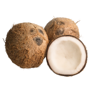 Wholesale <b>Coconut</b> Dry Shells <b>Fresh</b> Style Natural Sweet for Food Packing Manufactured in Vietnam - Product Image 6