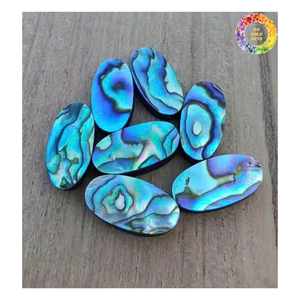 Concha de Abulón Paua Pulida, Diseño Elegante, Incrustaciones de Alta Calidad, Material de Concha de Abulón Paua Pulida, Hecho a Mano, Duradero - Product Image 6