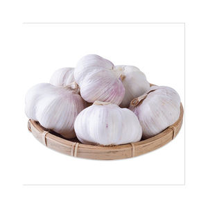 Ajo pelado fresco de primera calidad de la mejor calidad de origen austriaco Paquete de 25kg a precio barato - Product Image 2