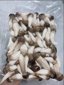 เห็ดปลวกแห้งที่ขายดีที่สุดอร่อย Viet Delta ยี่ห้อผลิตในเวียดนาม - Product Image 5