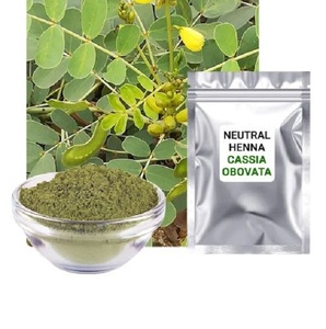 ผงขี้เหล็ก obovata จากอินเดีย - Product Image 2