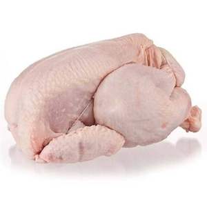 Poulet entier congelé et poitrine de poulet fraîche de qualité supérieure HALAL du Brésil pour l'exportation - Product Image 1
