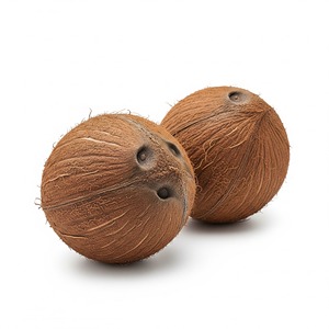 Vente en gros de cosses entières de noix de coco mûres fraîches de qualité supérieure durée de conservation de 12 mois pour les acheteurs mondiaux boissons de service alimentaire - Product Image 1