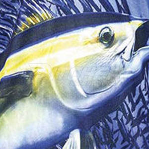 New Arrival Men's Fishing Quarter-<b>Zip</b> <b>Shirt</b> Printed 100% Polyester Quick Dry Breathable UPF 50 Eco Friendly Lightweight Outdoor - Product Image 5