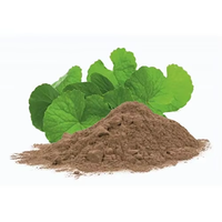 Serbuk daun Brahmi 1kg herbal Ayurveda alami liar untuk perawatan rambut fokus memori kesehatan otak kelas kosmetik Bacopa Monnieri