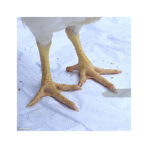 เท้าไก่แช่แข็งปีกไก่บราซิล - Product Image 4