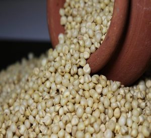 Sorgho et millet naturels de qualité supérieure, marque Radiance Global Foods, fabriqués et transformés en Inde, conformes aux normes élevées, 12 mois - Product Image 1
