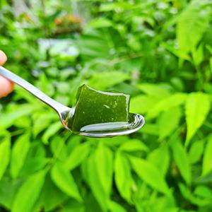 NOUVEAU Poudre de gelée verte pour la restauration, ingrédient facile à préparer pour les boissons et les desserts - Product Image 1