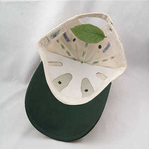 Gorra de béisbol clásica Unisex de 5 paneles 2025 algodón bordado 3D gorra de deportes al aire libre de invierno de alta calidad al por mayor 100% - Product Image 6