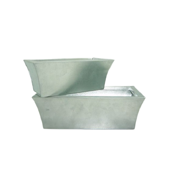 แสดงภาพ