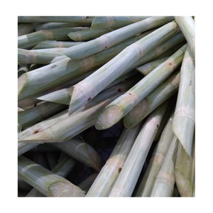 ส่งออกอ้อยแช่แข็งจากผู้จำหน่ายที่เชื่อถือได้ปอกเปลือกหรือไม่ปอกเปลือกเก็บในระยะยาวอร่อยและสะดวกสำหรับการคั้นน้ำ - Product Image 5