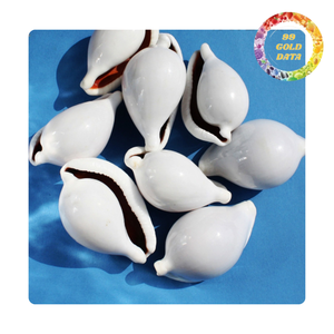 Coquillages de cauri naturels | Prix de gros pour les créateurs de bijoux et les amateurs de décoration | Coquillage de vente chaude 2025 - Product Image 2